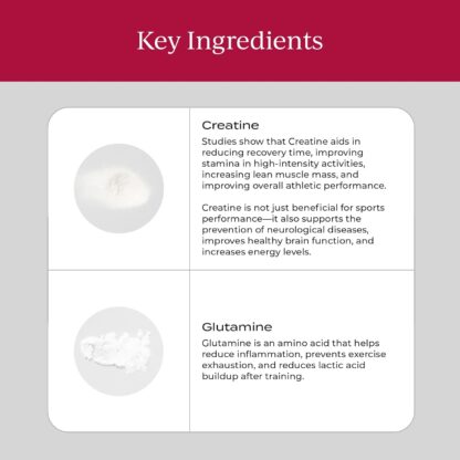 Creatine and Glutamine - Energy, Recovery, Muscle Mass & Brain Support - Image 3